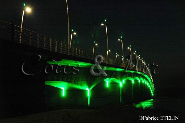 Pont de la Seudre (Charente Maritime)