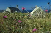 Pointe du Van: chapelle et fontaine Saint They (Finistere)