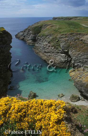 Tout prs de l'Apothicairerie (Belle-Ile)