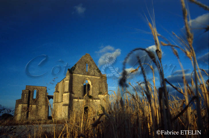 Abbaye de Chateliers (ile de R