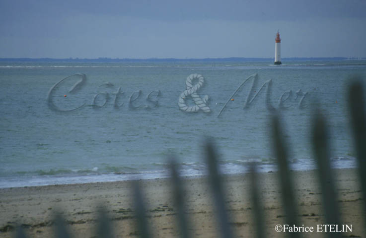 Cte sauvage,  Rivedoux- Plage