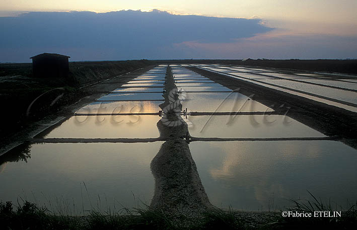 Marais salants , Loix en R (charente Maritime)