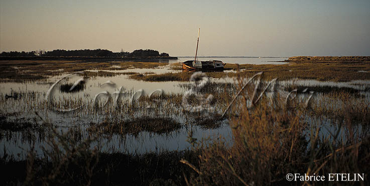 Epave au Martray (Ile de R)