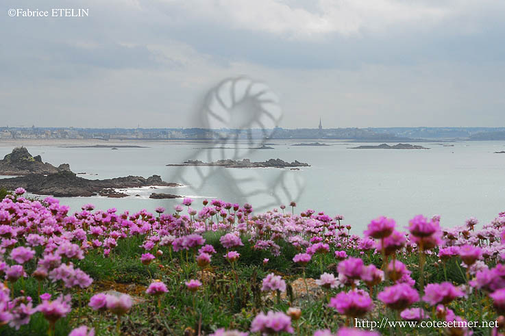 "Armerie  maritime"  la pointe de la Varde