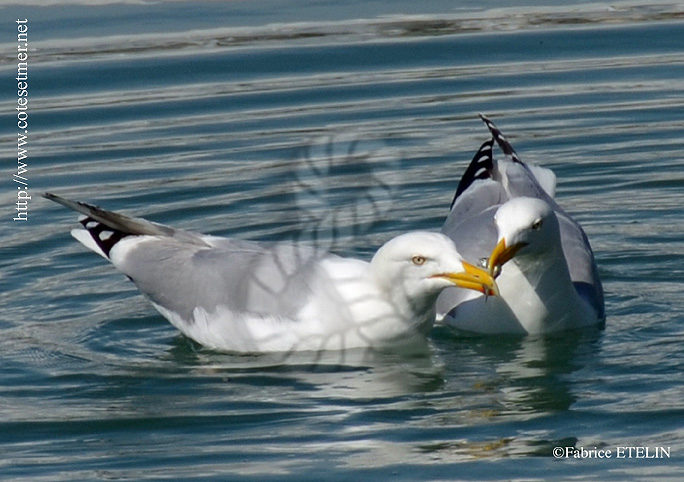 Moment d'intimit et de partage...