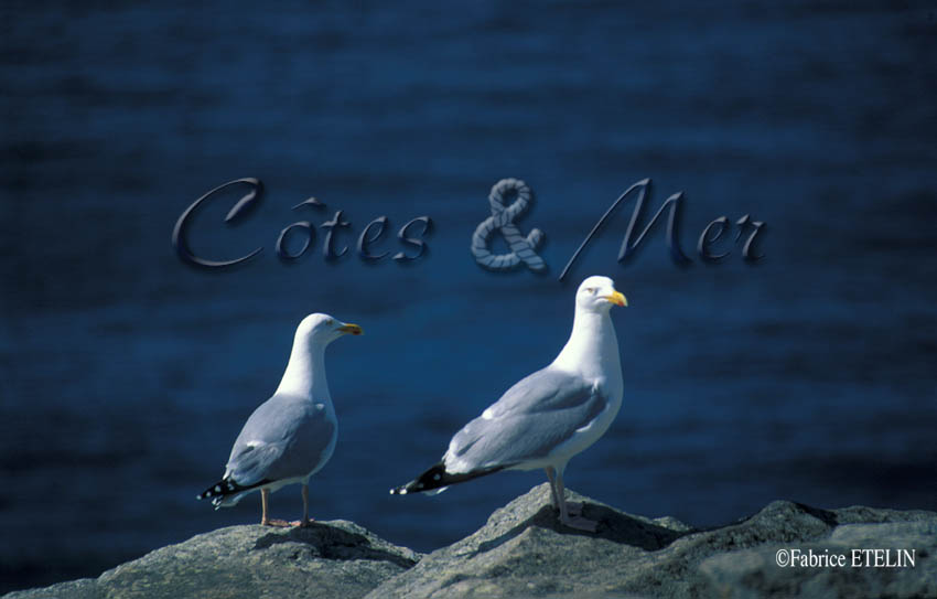 "Golands  la Pointe du Raz"