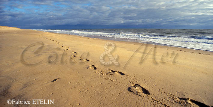 Pas sur le sable...