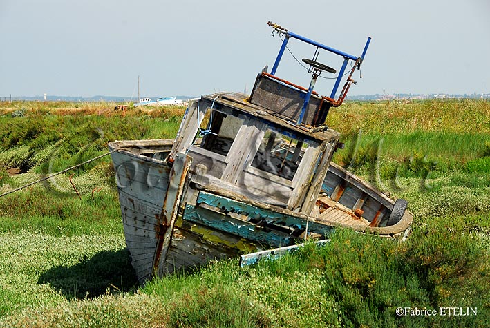 Bateau chou le long de la Seudre  Chaillevette