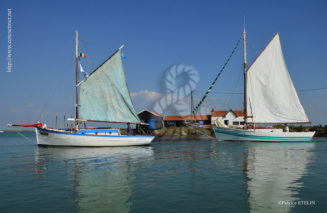 Vieux grments  la Tremblade