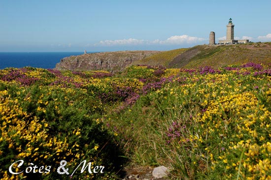 Le Cap Frehel (Ctes d'Armor)