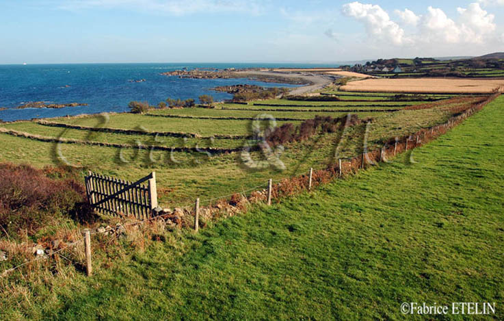 Un petit "air d'Irlande" dans le Cotentin