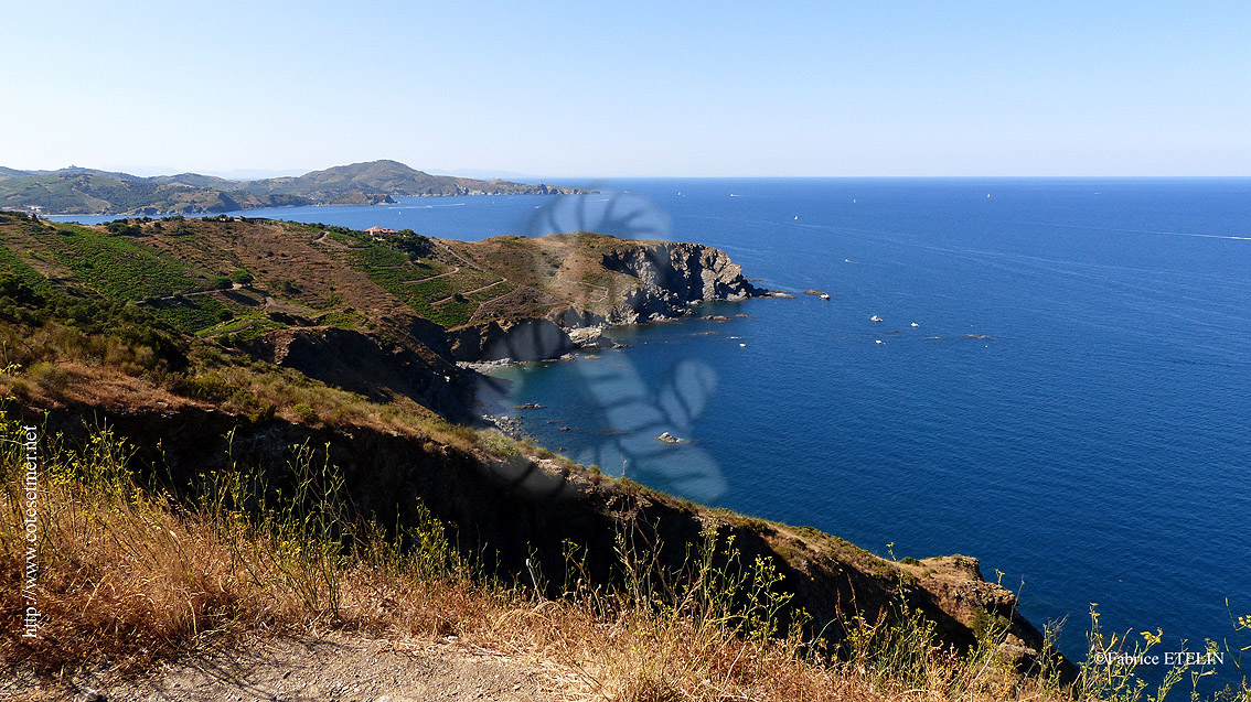 Cap de l'Abeille (Cte Vermeille)