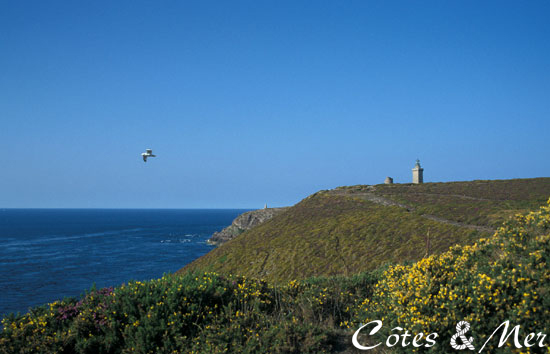 Cap Frehel (Ctes d'Armor)