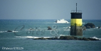 Boue cardinale, Roscoff (Finistre)