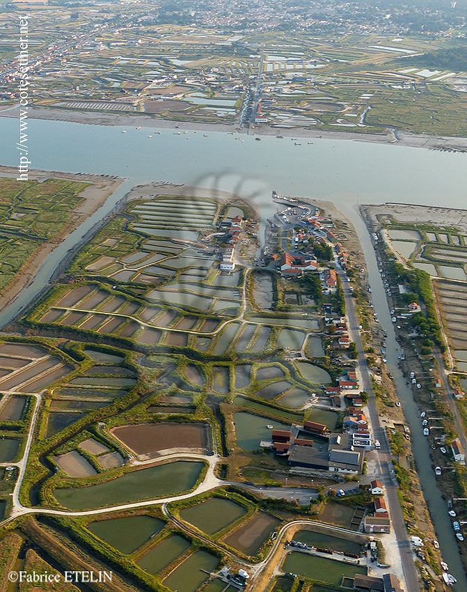 Ports ostricoles de Marennes et La Tremblade