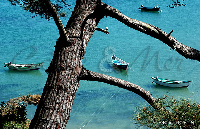 Port Mer (Ille & Vilaine)