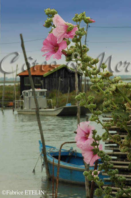 La Tremblade (Charente Maritime)