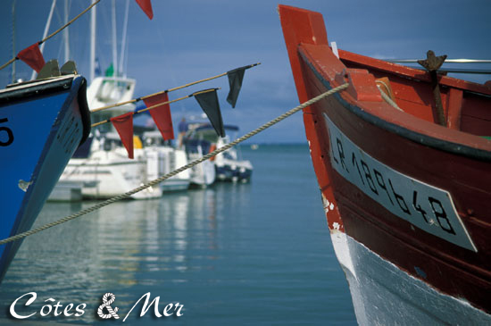 La Flotte en R (Charente Maritime)