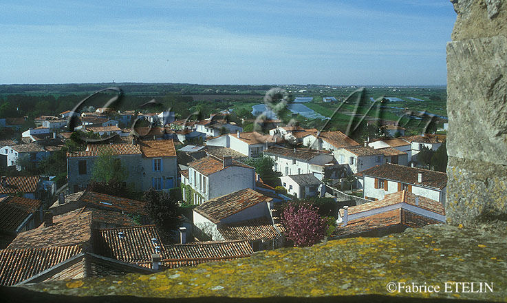 Mornac sur Seudre (vue du clocher)