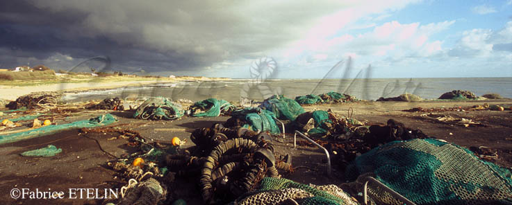 lumire inqutante  La Cotinire (Charente Maritime)