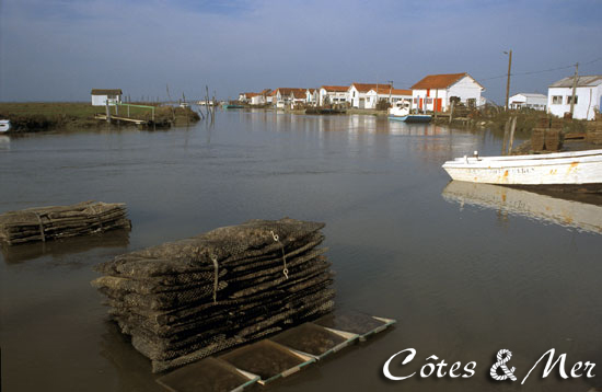 Port ostricole d'Orivol (Charente Maritime)