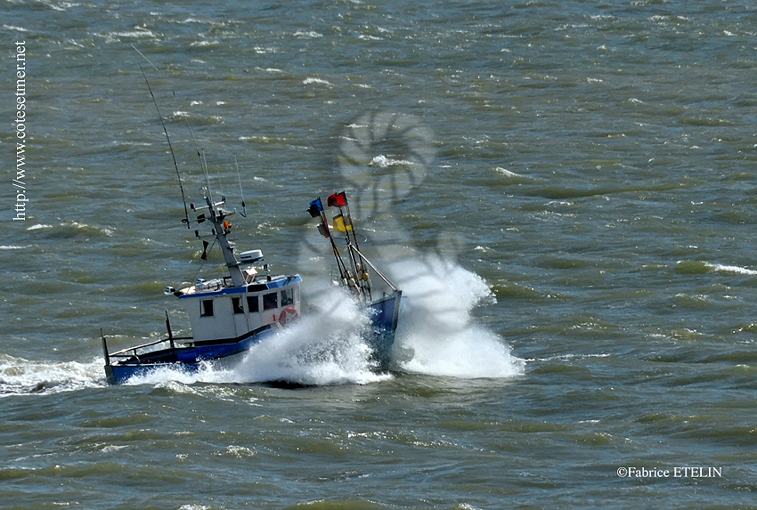 Retour de pche sur l'estuaire de la Gironde