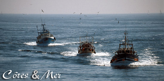 Retour de peche au Guilvinec (finistere)