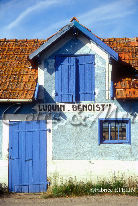 Cabane ostricole  Chaillevette (Charente Maritime)