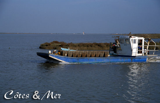 Chaland  La Tremblade (Charente Maritime)