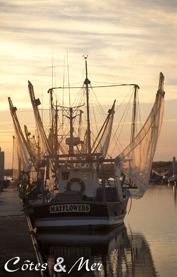 Pche   la civelle:Mortagne sur Gironde (Charente Maritime)