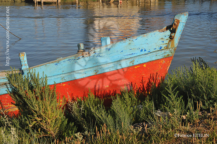 Barque choue  La Tremblade (Charente Maritime)