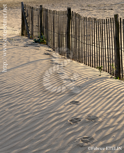 Girondines sur la plage