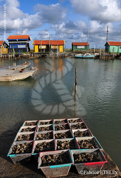 Huitres et cabanes ostricoles  La Tremblade