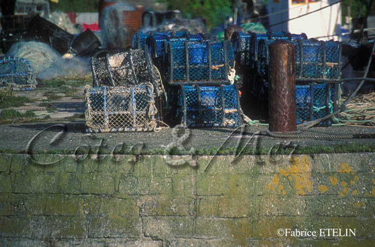 Casiers  Sauzon (Belle-Ile)