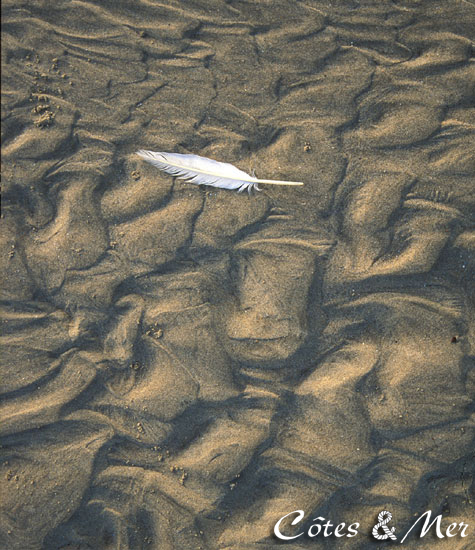 Dessin sur sable...