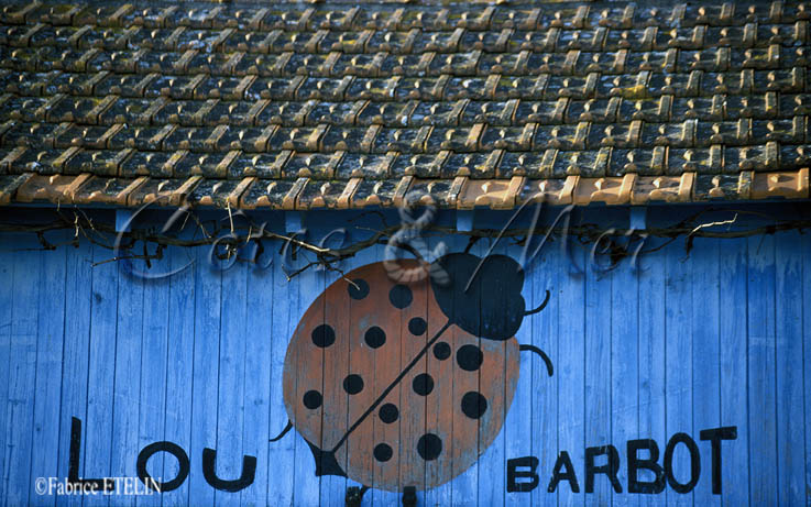 Cabane ostricole