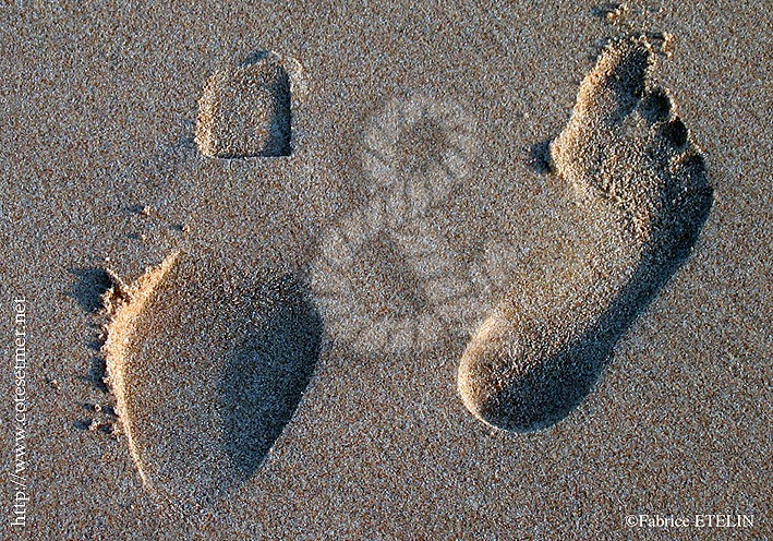 Empreintes ... sur le sable...