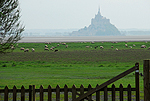 Saint Leonard, vue sur le Mont Saint Michel  (Manche)