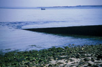Cale à Molene (Finistère)