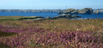 ...Vers la Pointe de Porz-Doun  Ouessant.