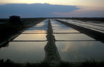 Marais salants , Loix en R (charente Maritime)