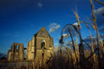 Abbaye de Chateliers (ile de R