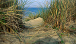 Plage sur l'Ile de R (Charente Maritime)