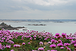 "Armerie  maritime"  la pointe de la Varde