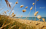 Plage  Saint Palais (Charente Maritime)