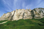 Falaises au Trport (Seine Maritime)