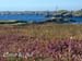 Ile d'Ouessant (finistere)