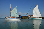 Vieux grments  la Tremblade