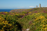 Le Cap Frehel (Ctes d'Armor)