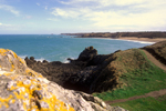 Pointe des Daules,Anse du Verger (Ille et Vilaine)